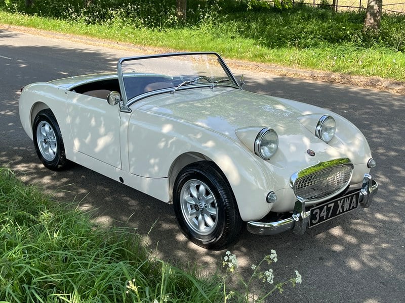 Austin 10 Frogeye - Free